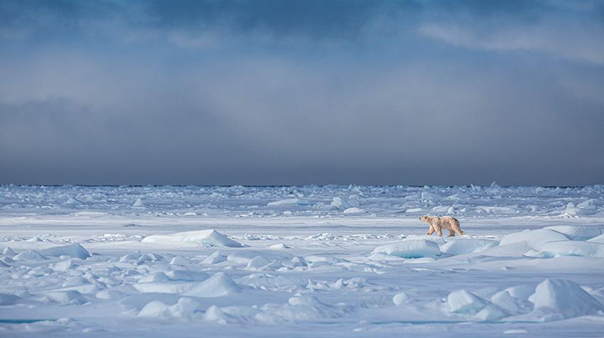 Les changements climatiques